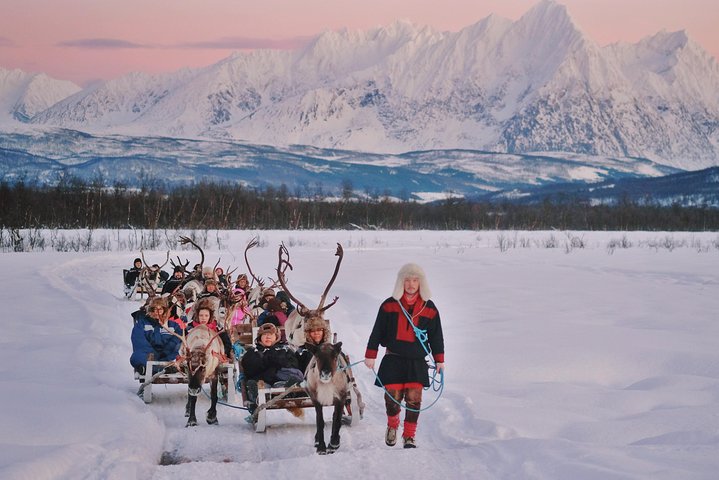 Norway Arctic Circle Adventure - sledding with reindeer
